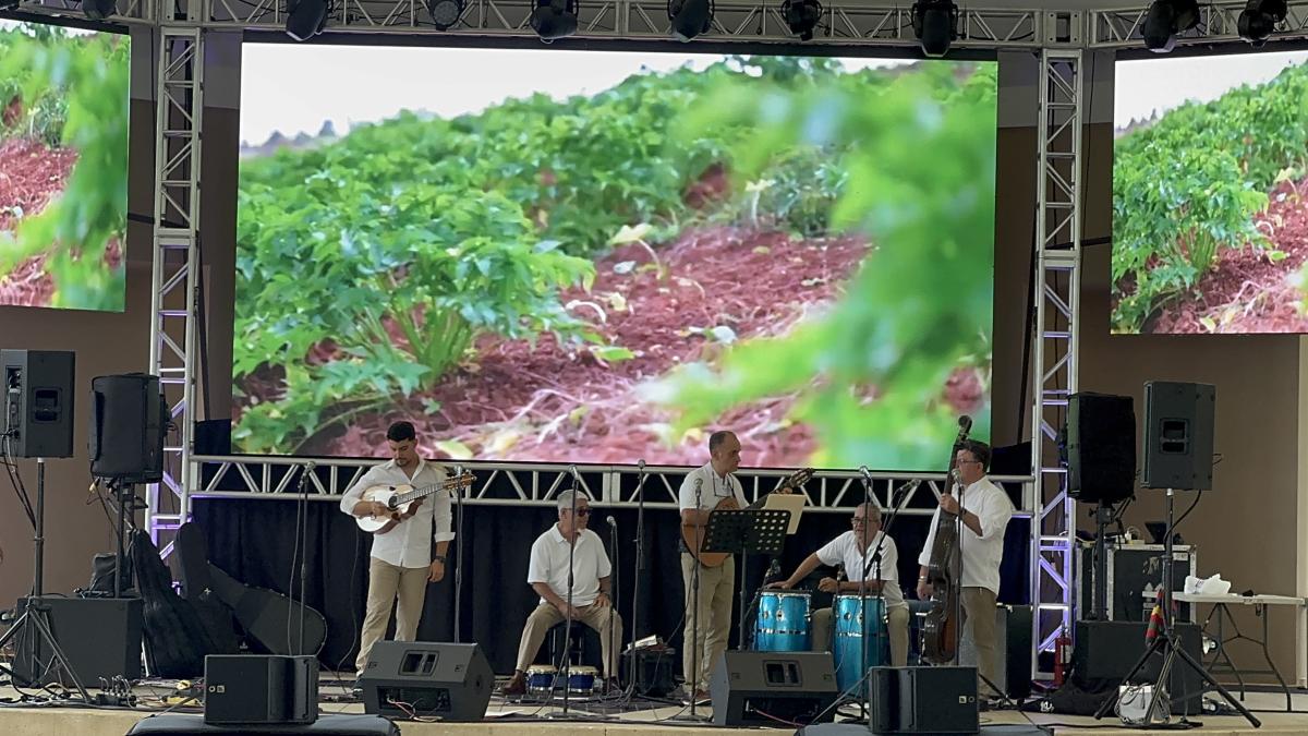 Festival del Apio 2025