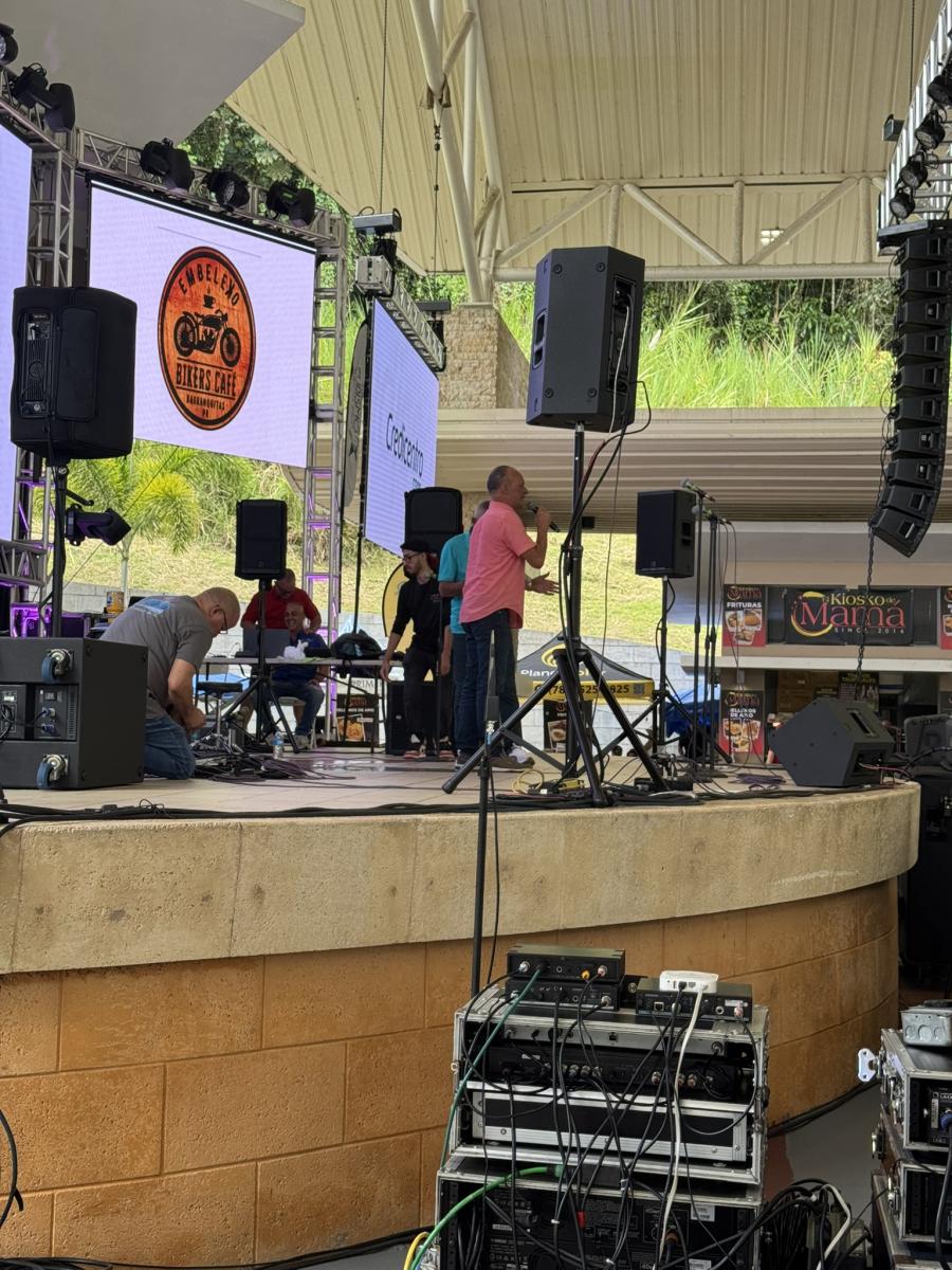 Festival del Apio 2025