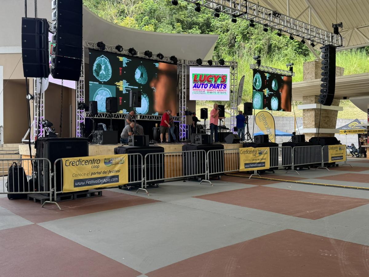 Festival del Apio 2025