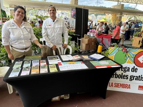 Festival del Apio 2025