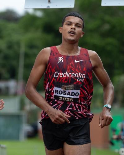 Luis-Rosado